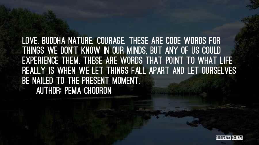 Pema Chodron Quotes: Love. Buddha Nature. Courage. These Are Code Words For Things We Don't Know In Our Minds, But Any Of Us