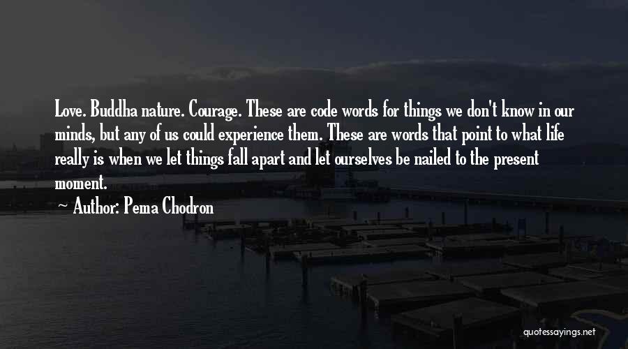 Pema Chodron Quotes: Love. Buddha Nature. Courage. These Are Code Words For Things We Don't Know In Our Minds, But Any Of Us