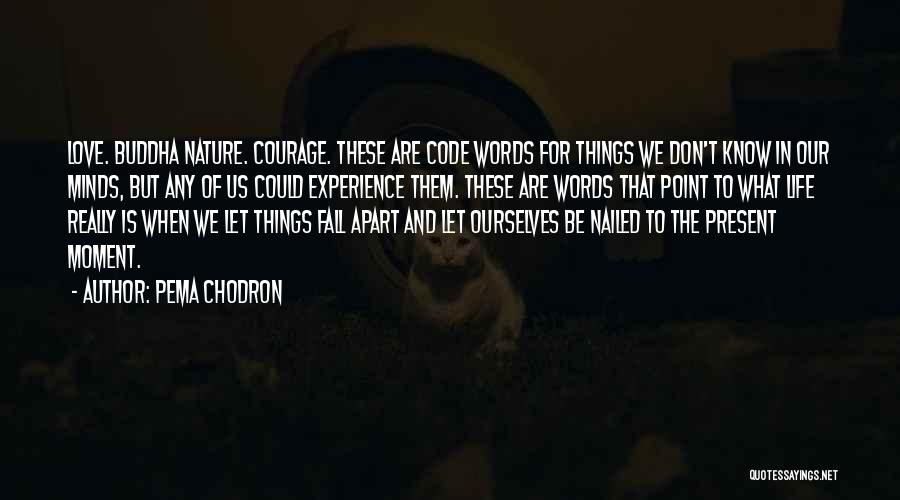 Pema Chodron Quotes: Love. Buddha Nature. Courage. These Are Code Words For Things We Don't Know In Our Minds, But Any Of Us