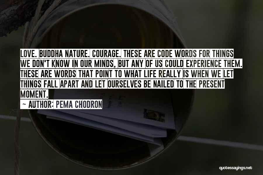 Pema Chodron Quotes: Love. Buddha Nature. Courage. These Are Code Words For Things We Don't Know In Our Minds, But Any Of Us