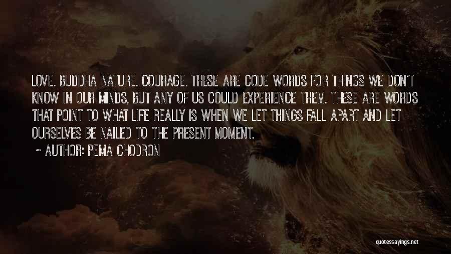 Pema Chodron Quotes: Love. Buddha Nature. Courage. These Are Code Words For Things We Don't Know In Our Minds, But Any Of Us
