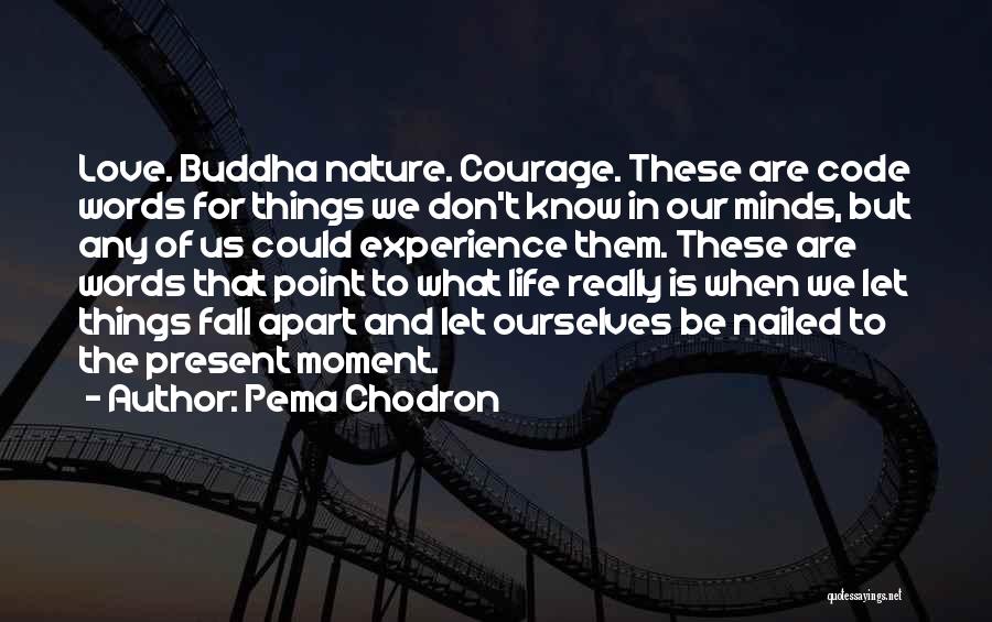 Pema Chodron Quotes: Love. Buddha Nature. Courage. These Are Code Words For Things We Don't Know In Our Minds, But Any Of Us
