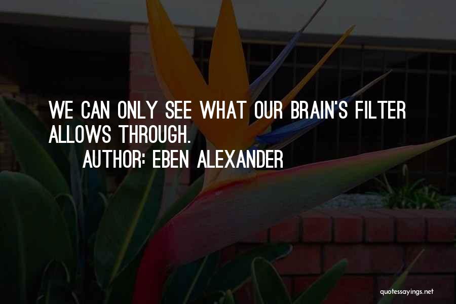 Eben Alexander Quotes: We Can Only See What Our Brain's Filter Allows Through.