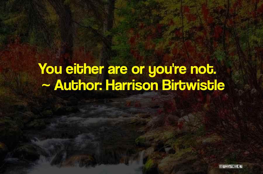Harrison Birtwistle Quotes: You Either Are Or You're Not.