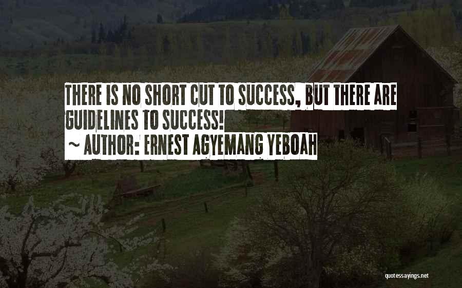 Ernest Agyemang Yeboah Quotes: There Is No Short Cut To Success, But There Are Guidelines To Success!