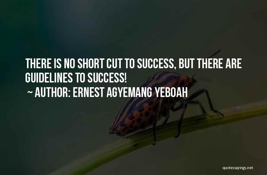 Ernest Agyemang Yeboah Quotes: There Is No Short Cut To Success, But There Are Guidelines To Success!