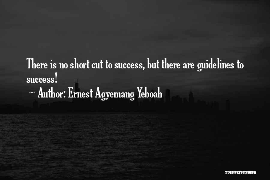 Ernest Agyemang Yeboah Quotes: There Is No Short Cut To Success, But There Are Guidelines To Success!