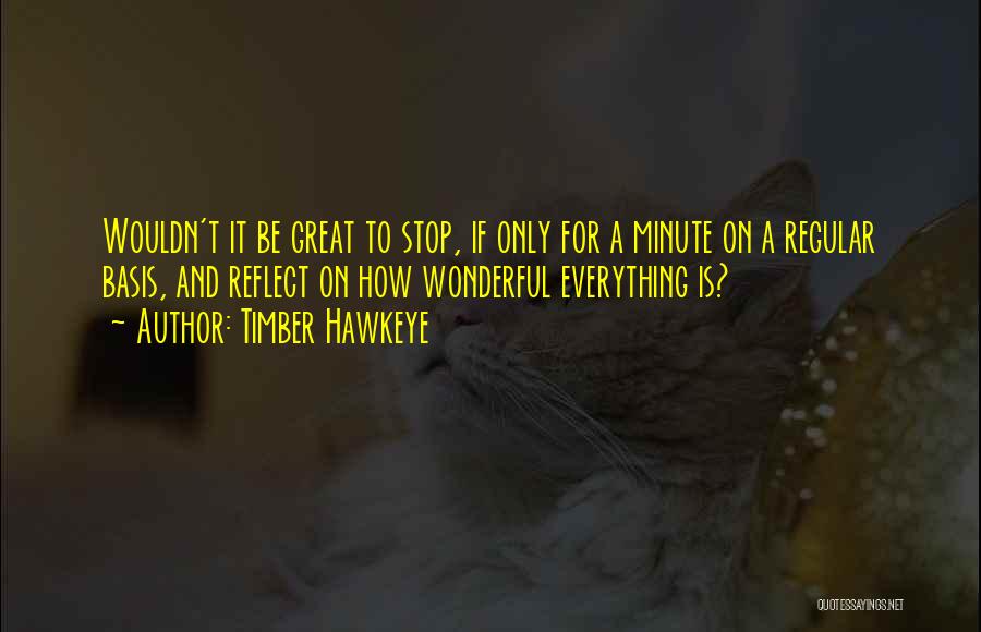 Timber Hawkeye Quotes: Wouldn't It Be Great To Stop, If Only For A Minute On A Regular Basis, And Reflect On How Wonderful