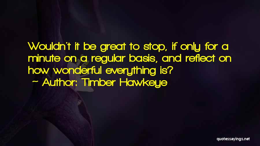 Timber Hawkeye Quotes: Wouldn't It Be Great To Stop, If Only For A Minute On A Regular Basis, And Reflect On How Wonderful