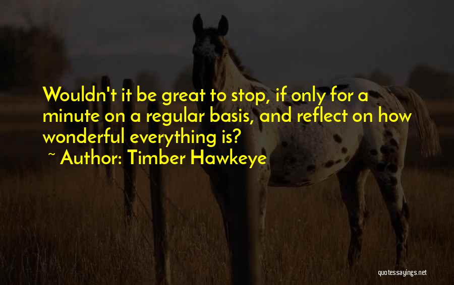 Timber Hawkeye Quotes: Wouldn't It Be Great To Stop, If Only For A Minute On A Regular Basis, And Reflect On How Wonderful