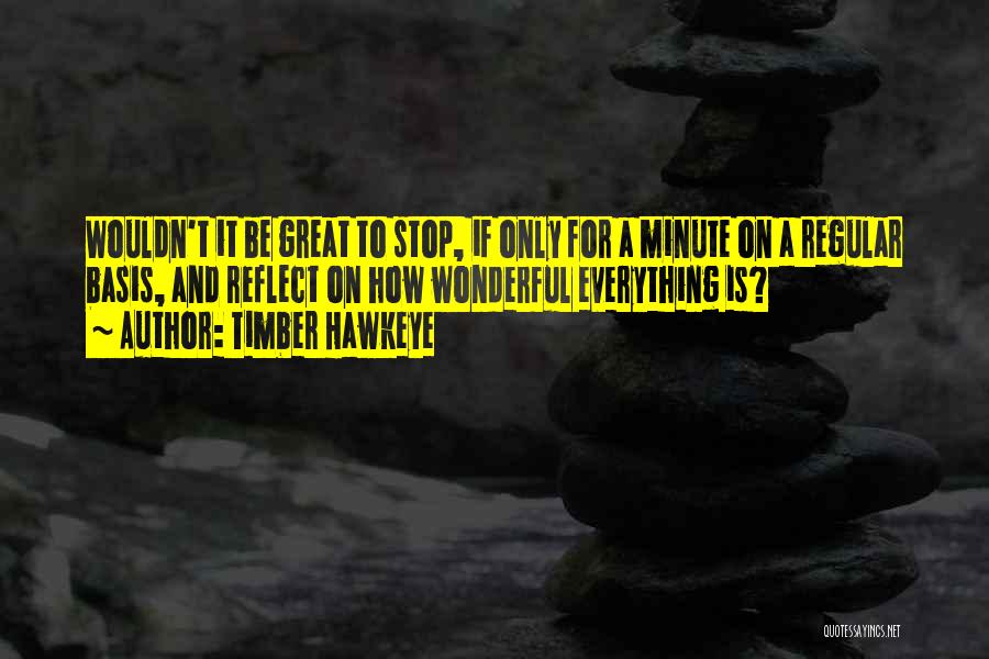 Timber Hawkeye Quotes: Wouldn't It Be Great To Stop, If Only For A Minute On A Regular Basis, And Reflect On How Wonderful