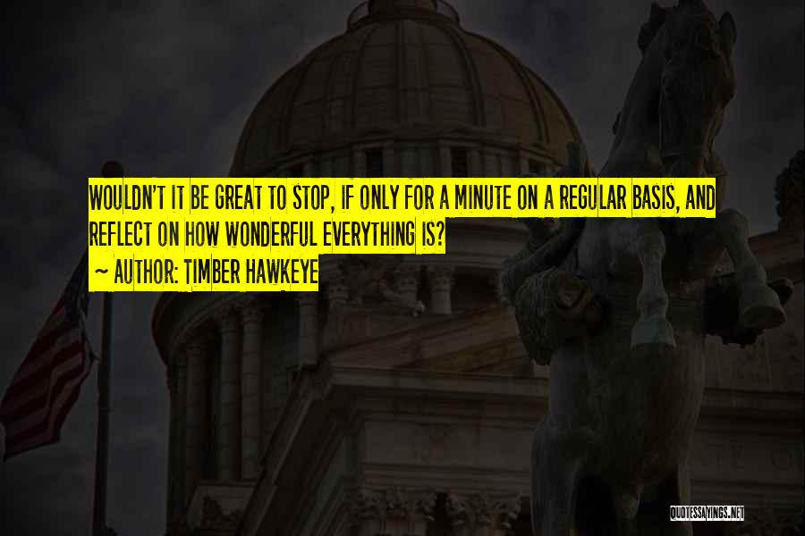 Timber Hawkeye Quotes: Wouldn't It Be Great To Stop, If Only For A Minute On A Regular Basis, And Reflect On How Wonderful