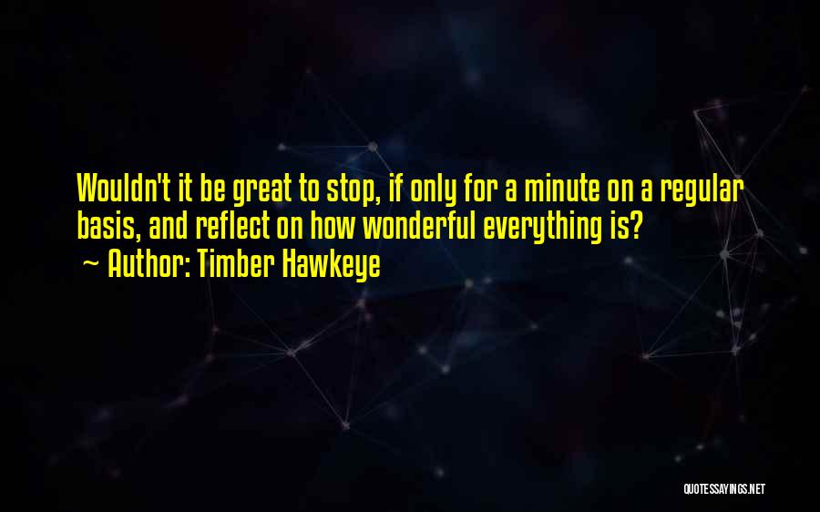 Timber Hawkeye Quotes: Wouldn't It Be Great To Stop, If Only For A Minute On A Regular Basis, And Reflect On How Wonderful