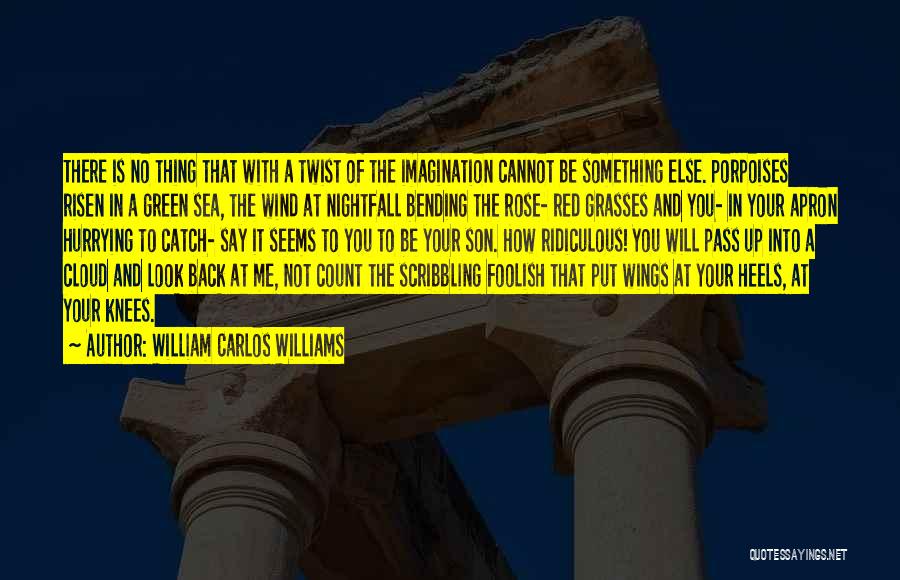 William Carlos Williams Quotes: There Is No Thing That With A Twist Of The Imagination Cannot Be Something Else. Porpoises Risen In A Green