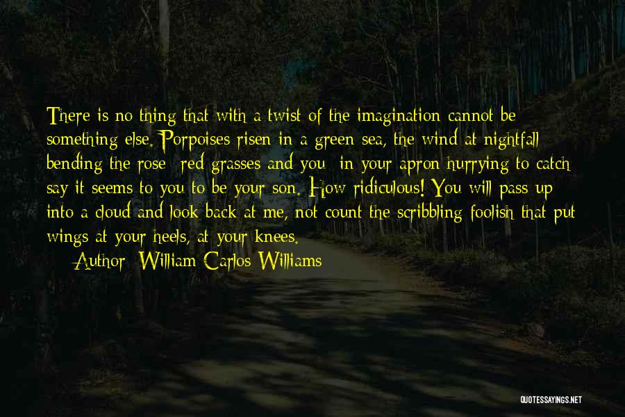 William Carlos Williams Quotes: There Is No Thing That With A Twist Of The Imagination Cannot Be Something Else. Porpoises Risen In A Green