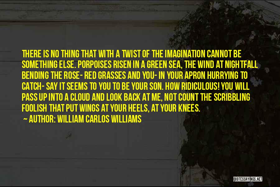 William Carlos Williams Quotes: There Is No Thing That With A Twist Of The Imagination Cannot Be Something Else. Porpoises Risen In A Green