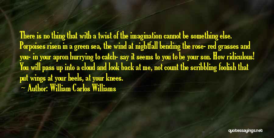 William Carlos Williams Quotes: There Is No Thing That With A Twist Of The Imagination Cannot Be Something Else. Porpoises Risen In A Green