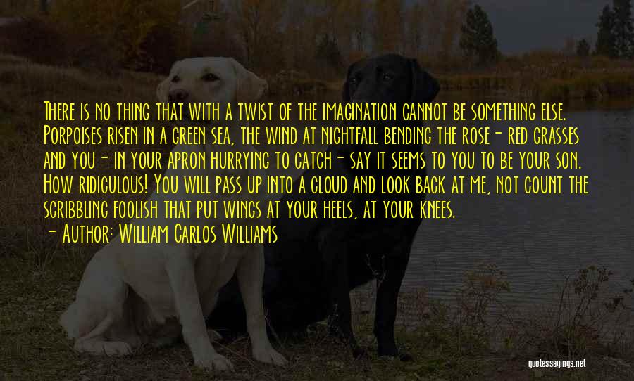 William Carlos Williams Quotes: There Is No Thing That With A Twist Of The Imagination Cannot Be Something Else. Porpoises Risen In A Green