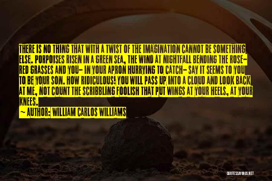 William Carlos Williams Quotes: There Is No Thing That With A Twist Of The Imagination Cannot Be Something Else. Porpoises Risen In A Green