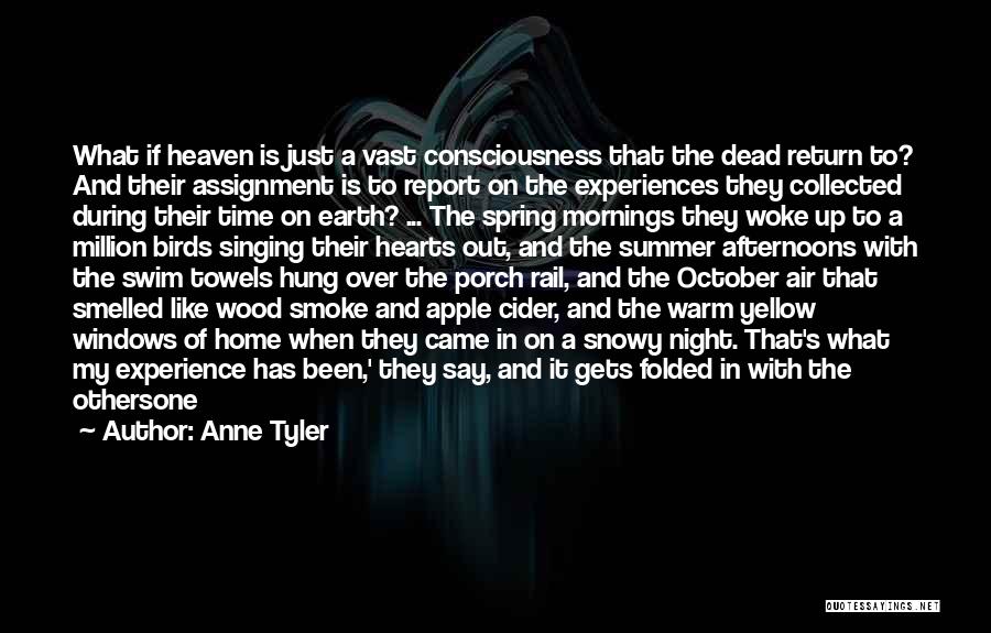 Anne Tyler Quotes: What If Heaven Is Just A Vast Consciousness That The Dead Return To? And Their Assignment Is To Report On