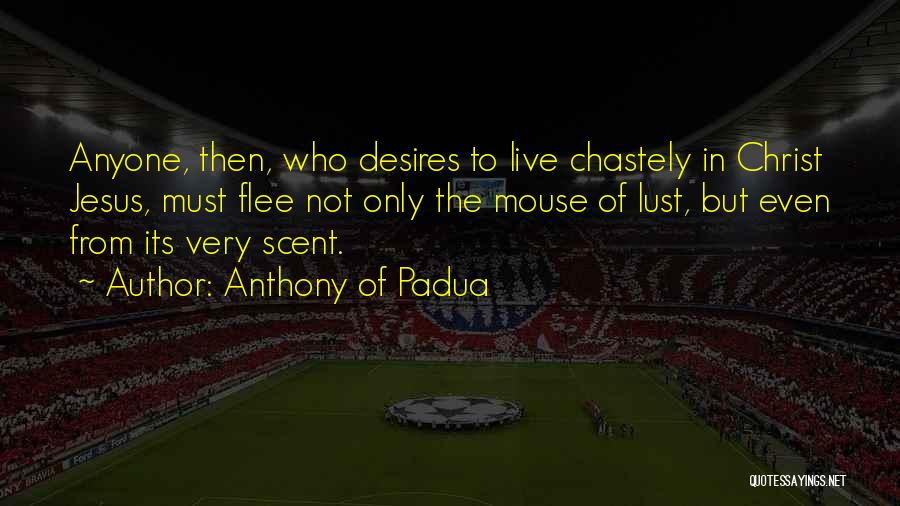 Anthony Of Padua Quotes: Anyone, Then, Who Desires To Live Chastely In Christ Jesus, Must Flee Not Only The Mouse Of Lust, But Even