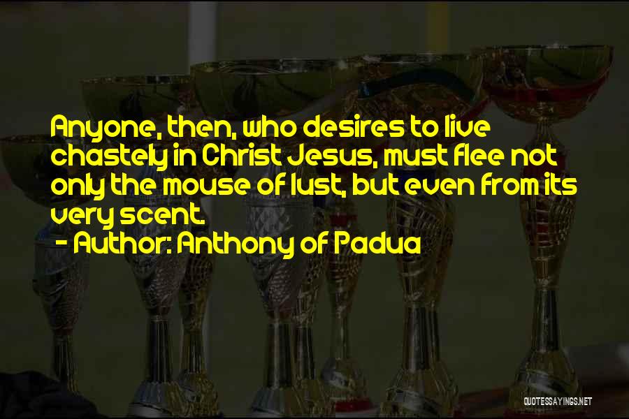 Anthony Of Padua Quotes: Anyone, Then, Who Desires To Live Chastely In Christ Jesus, Must Flee Not Only The Mouse Of Lust, But Even