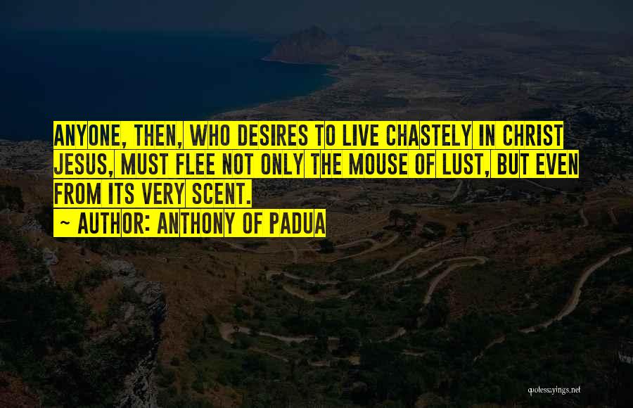 Anthony Of Padua Quotes: Anyone, Then, Who Desires To Live Chastely In Christ Jesus, Must Flee Not Only The Mouse Of Lust, But Even