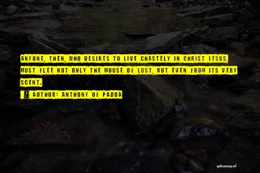 Anthony Of Padua Quotes: Anyone, Then, Who Desires To Live Chastely In Christ Jesus, Must Flee Not Only The Mouse Of Lust, But Even