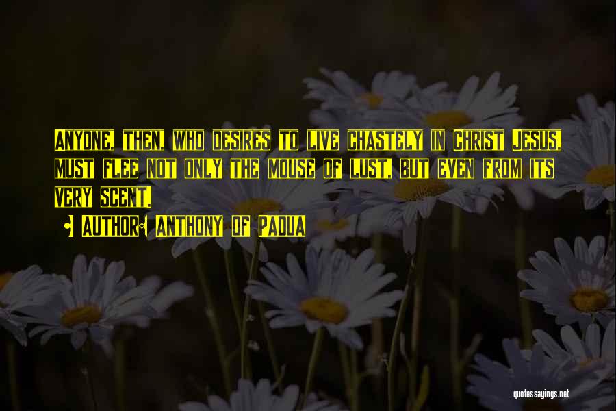 Anthony Of Padua Quotes: Anyone, Then, Who Desires To Live Chastely In Christ Jesus, Must Flee Not Only The Mouse Of Lust, But Even