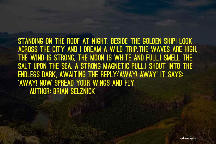 Brian Selznick Quotes: Standing On The Roof At Night, Beside The Golden Shipi Look Across The City And I Dream A Wild Trip.the