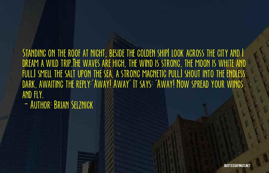 Brian Selznick Quotes: Standing On The Roof At Night, Beside The Golden Shipi Look Across The City And I Dream A Wild Trip.the