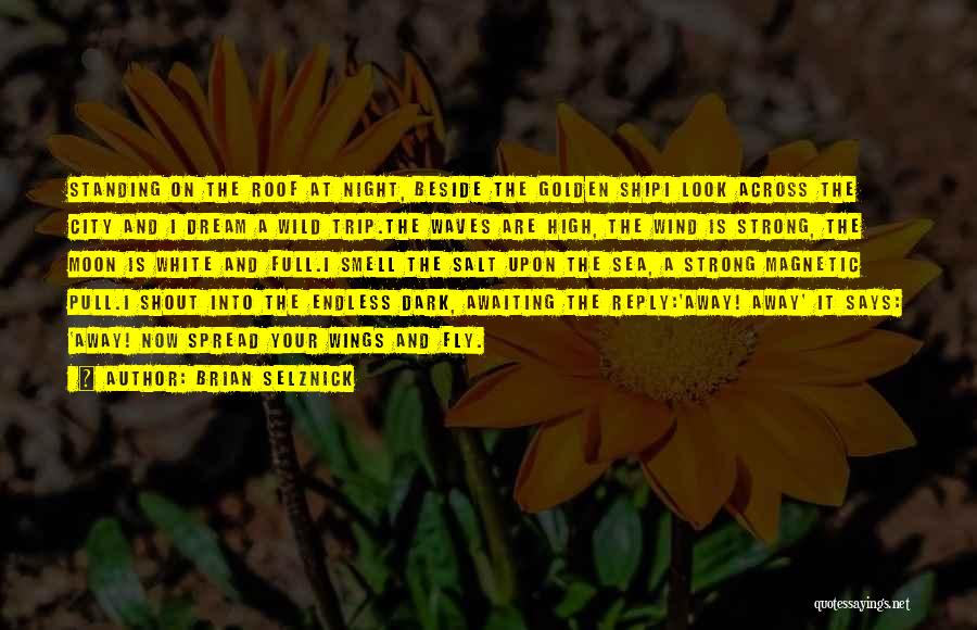 Brian Selznick Quotes: Standing On The Roof At Night, Beside The Golden Shipi Look Across The City And I Dream A Wild Trip.the
