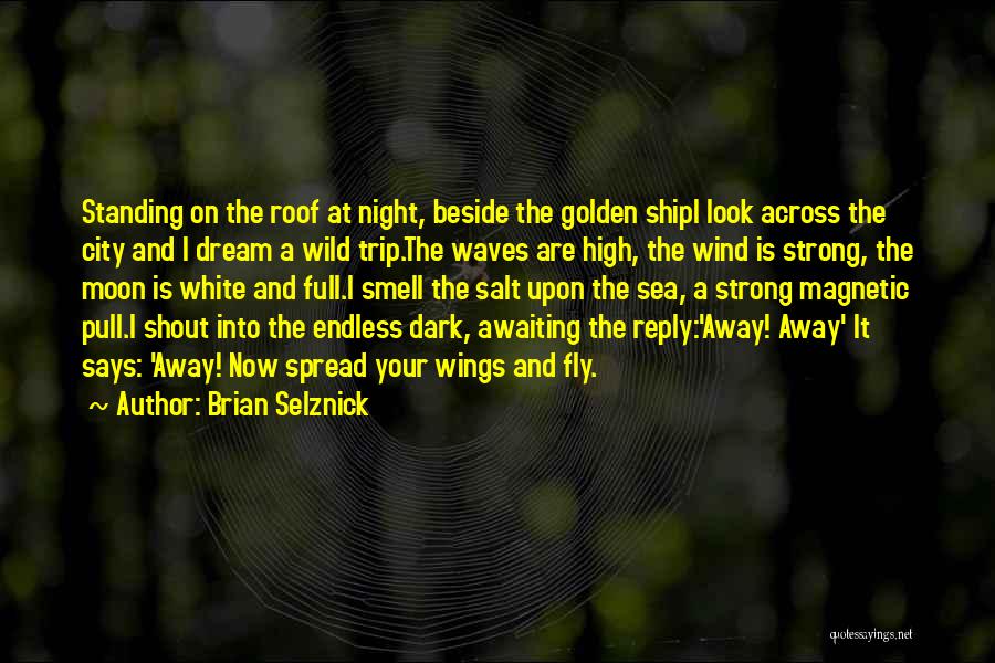 Brian Selznick Quotes: Standing On The Roof At Night, Beside The Golden Shipi Look Across The City And I Dream A Wild Trip.the