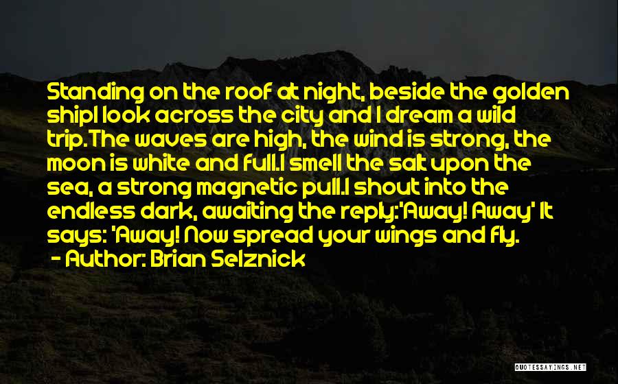 Brian Selznick Quotes: Standing On The Roof At Night, Beside The Golden Shipi Look Across The City And I Dream A Wild Trip.the