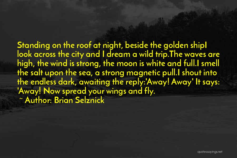 Brian Selznick Quotes: Standing On The Roof At Night, Beside The Golden Shipi Look Across The City And I Dream A Wild Trip.the