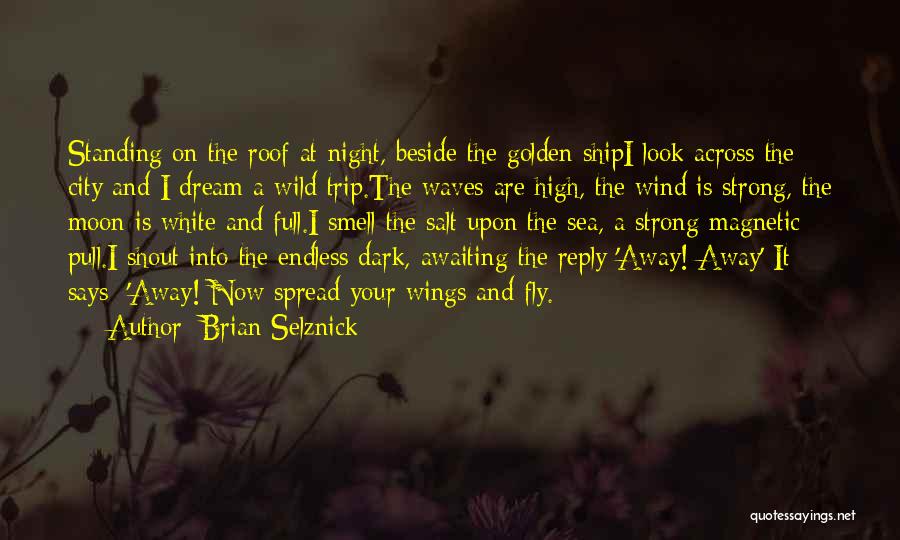 Brian Selznick Quotes: Standing On The Roof At Night, Beside The Golden Shipi Look Across The City And I Dream A Wild Trip.the
