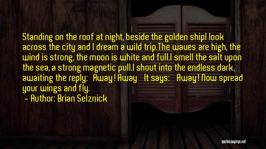 Brian Selznick Quotes: Standing On The Roof At Night, Beside The Golden Shipi Look Across The City And I Dream A Wild Trip.the