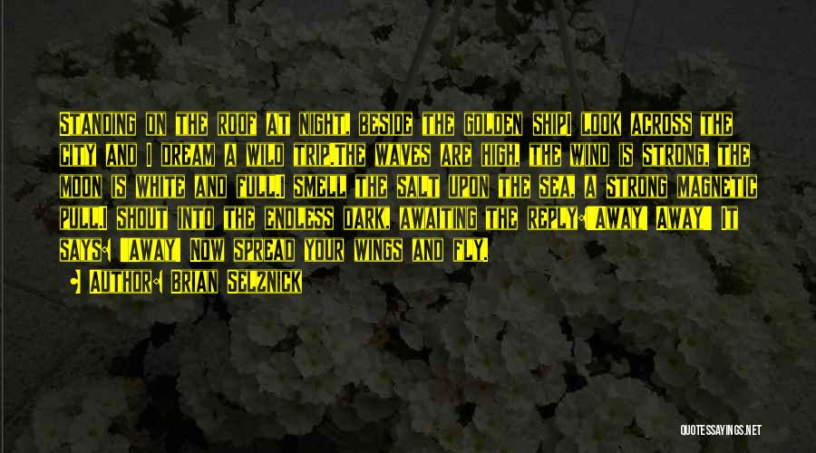 Brian Selznick Quotes: Standing On The Roof At Night, Beside The Golden Shipi Look Across The City And I Dream A Wild Trip.the