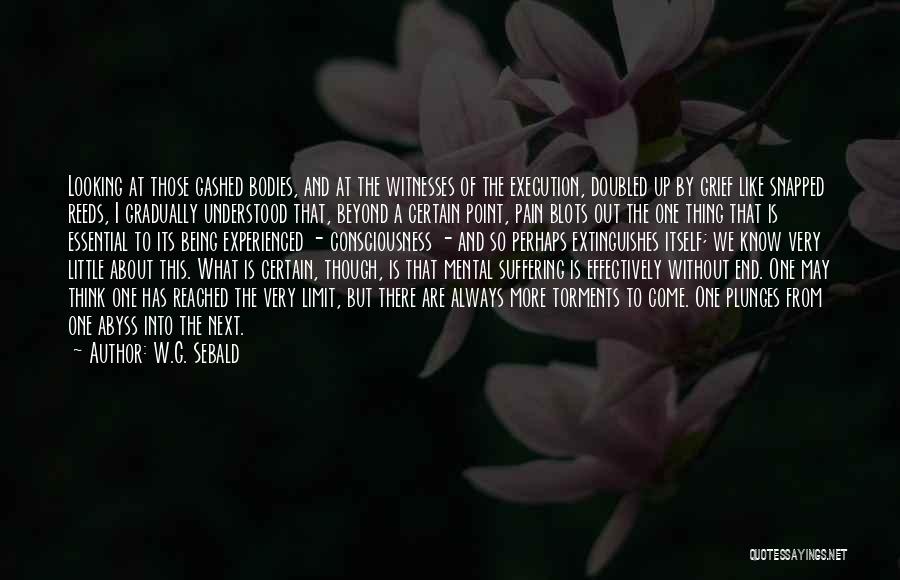 W.G. Sebald Quotes: Looking At Those Gashed Bodies, And At The Witnesses Of The Execution, Doubled Up By Grief Like Snapped Reeds, I
