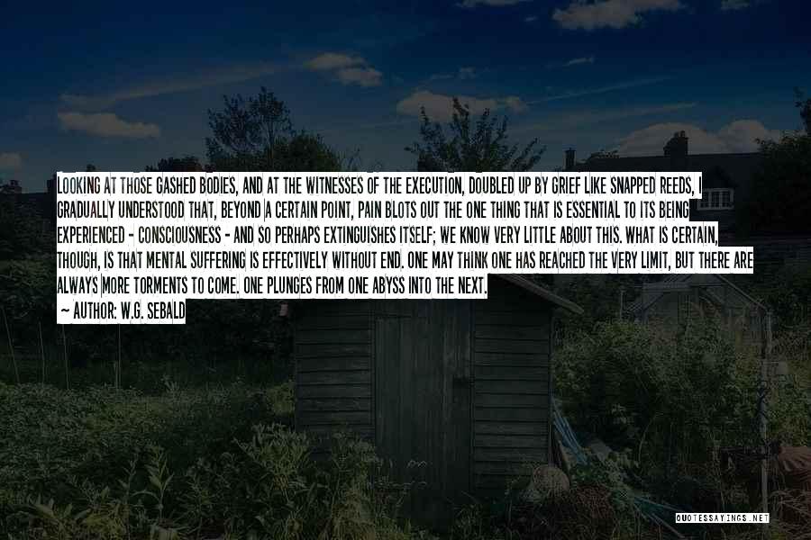 W.G. Sebald Quotes: Looking At Those Gashed Bodies, And At The Witnesses Of The Execution, Doubled Up By Grief Like Snapped Reeds, I