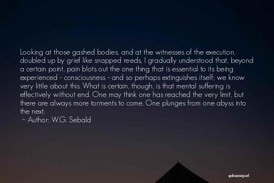 W.G. Sebald Quotes: Looking At Those Gashed Bodies, And At The Witnesses Of The Execution, Doubled Up By Grief Like Snapped Reeds, I