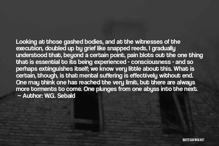 W.G. Sebald Quotes: Looking At Those Gashed Bodies, And At The Witnesses Of The Execution, Doubled Up By Grief Like Snapped Reeds, I