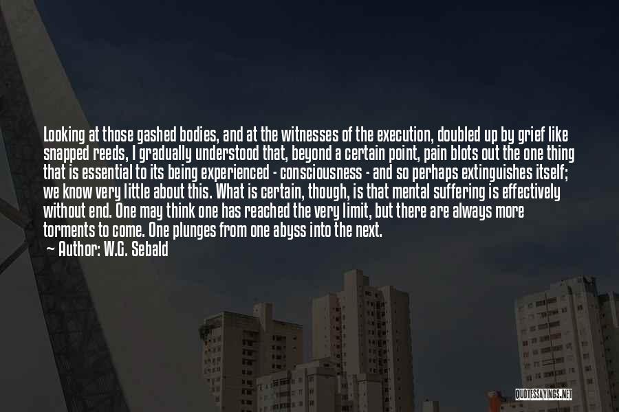 W.G. Sebald Quotes: Looking At Those Gashed Bodies, And At The Witnesses Of The Execution, Doubled Up By Grief Like Snapped Reeds, I