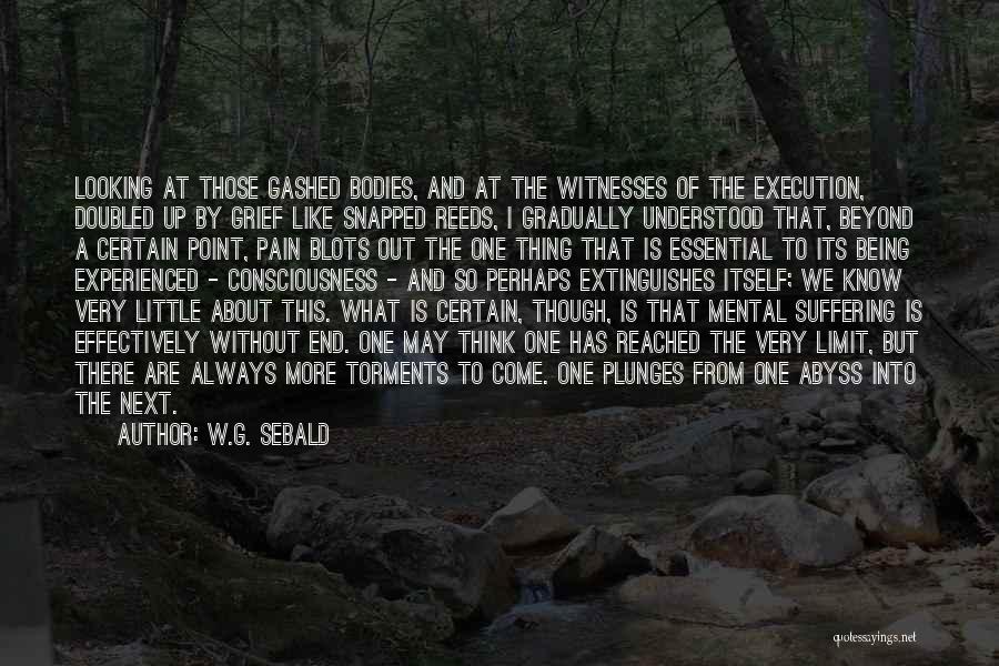 W.G. Sebald Quotes: Looking At Those Gashed Bodies, And At The Witnesses Of The Execution, Doubled Up By Grief Like Snapped Reeds, I