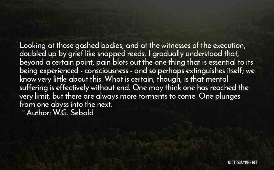 W.G. Sebald Quotes: Looking At Those Gashed Bodies, And At The Witnesses Of The Execution, Doubled Up By Grief Like Snapped Reeds, I