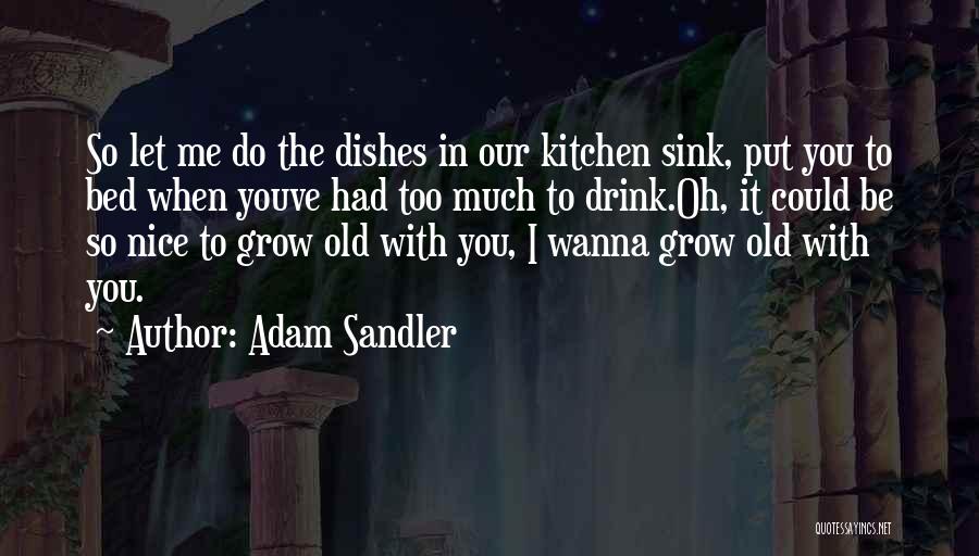Adam Sandler Quotes: So Let Me Do The Dishes In Our Kitchen Sink, Put You To Bed When Youve Had Too Much To
