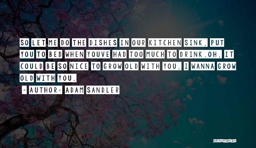 Adam Sandler Quotes: So Let Me Do The Dishes In Our Kitchen Sink, Put You To Bed When Youve Had Too Much To