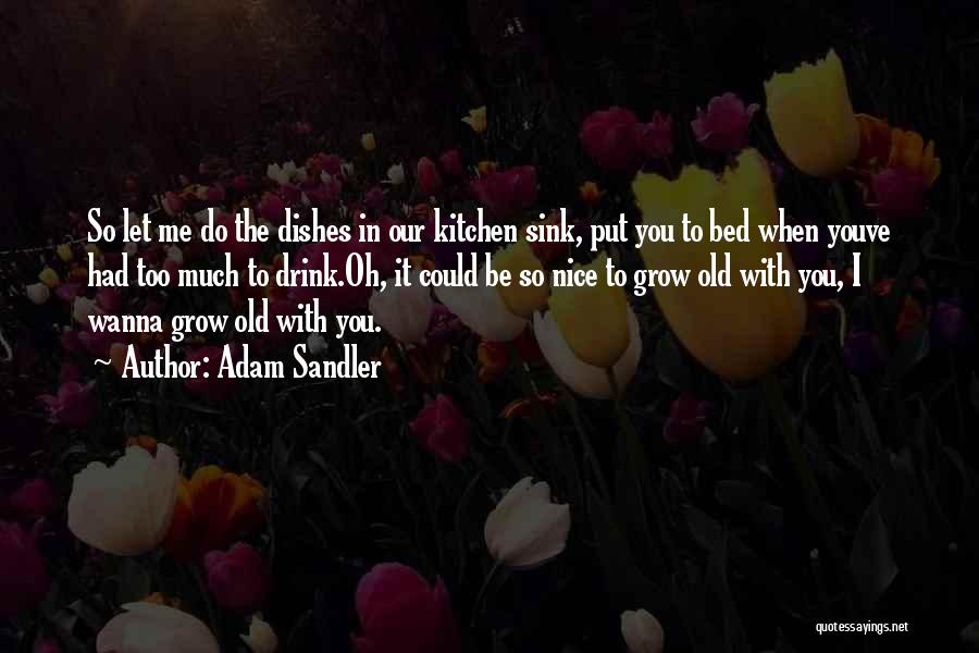 Adam Sandler Quotes: So Let Me Do The Dishes In Our Kitchen Sink, Put You To Bed When Youve Had Too Much To