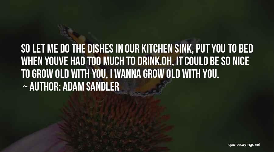 Adam Sandler Quotes: So Let Me Do The Dishes In Our Kitchen Sink, Put You To Bed When Youve Had Too Much To