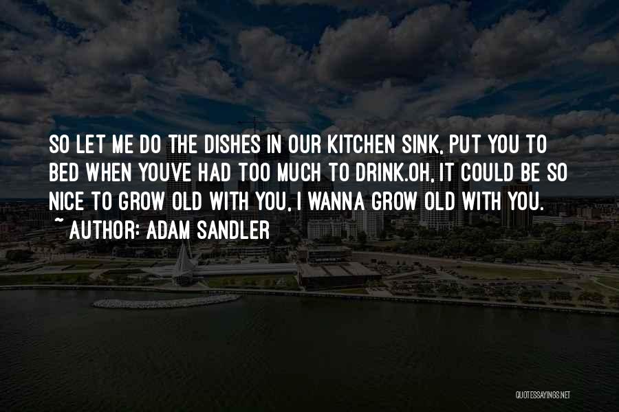 Adam Sandler Quotes: So Let Me Do The Dishes In Our Kitchen Sink, Put You To Bed When Youve Had Too Much To